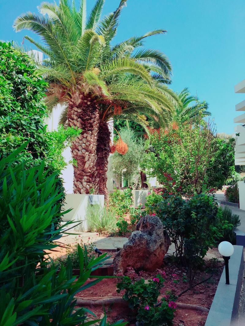 Amnissos Hotell Pigianos Kampos  Exteriör bild